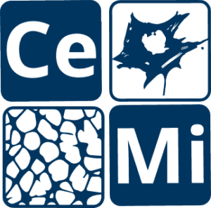 We joined the Center for the Cellular Microenvironment, a multidisciplinary team of bioengineers and cell engineers based at the University of Glasgow!